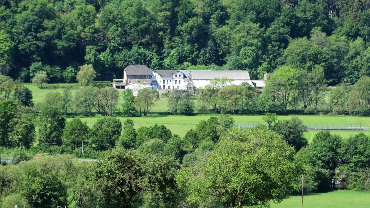 Apartamento Talmühle Hirtscheid Alpenrod Exterior foto